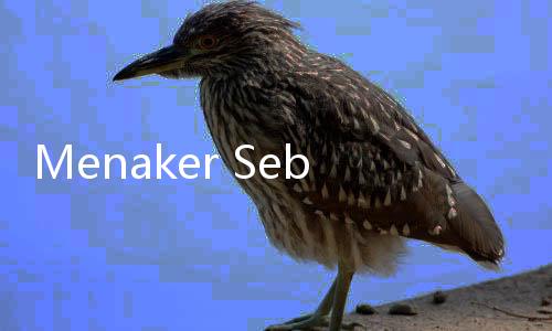 Menaker Sebut Perlu Tata Kelola Optimal Untuk Lindungi Pekerja Migran Indonesia