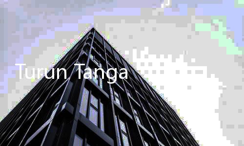 Turun Tangan Awasi Tambang di Hutan Raja Ampat, Kementerian Kehutanan Ancam Tempuh Jalur Hukum